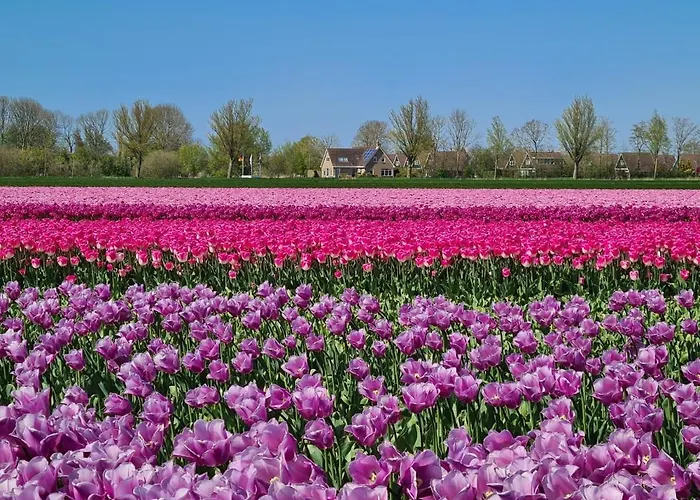 505 Op Recreatiepark De Wielen *