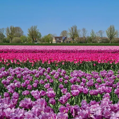 505 Op Recreatiepark De Wielen *