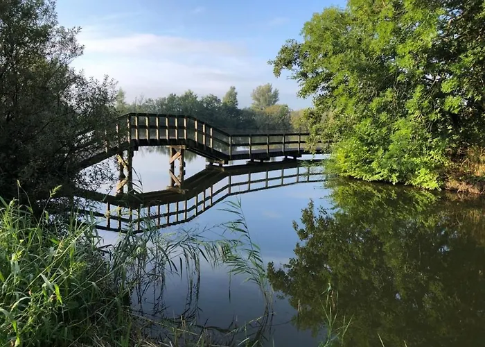 505 Op Recreatiepark De Wielen * Sint Maarten